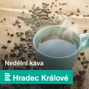 Vladimír Burjánek: Zájezd