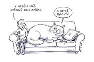 Majitel připomněl kočce, že v neděli bude Světový den zvířat. Její reakce byla typicky kočičí