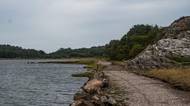 Volvo trip: Toftenäs naturreservat