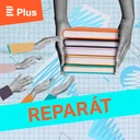 Patnáctiletí rozumí textu hůř než dřív. Čtení přitom podporuje kritické myšlení