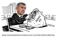 Babiš představil v Bruselu vlastní představu o evropském rozpočtu