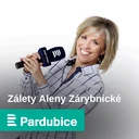 Polární ekoložka Marie Šabacká: V ledovcích můžeme číst jako v historické knížce