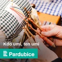 Masečník kulovitý zmizel. Je to houbařský sen, nejen pro mykologa Libora Tmeje